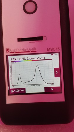 Izmerjeno na 1.2m  PAR 375,2 m qmol/m2/s, 60s kot